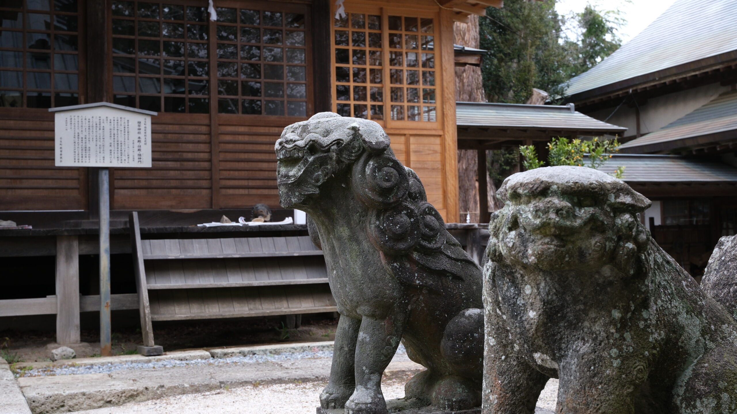 雄琴神社　狛犬